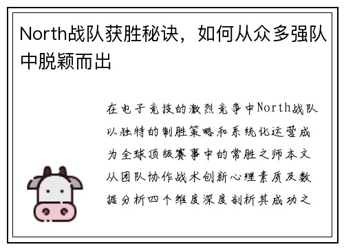 North战队获胜秘诀，如何从众多强队中脱颖而出