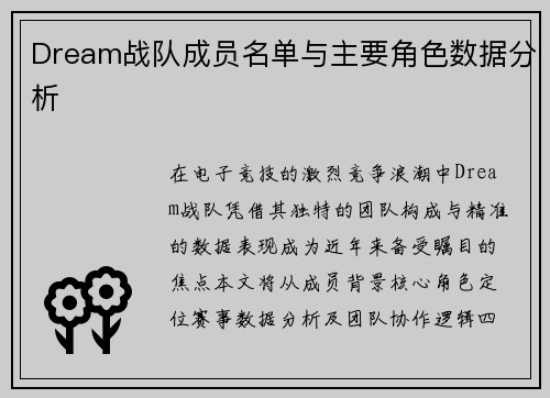 Dream战队成员名单与主要角色数据分析